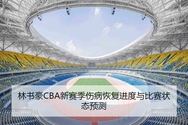 林书豪CBA新赛季伤病恢复进度与比赛状态预测